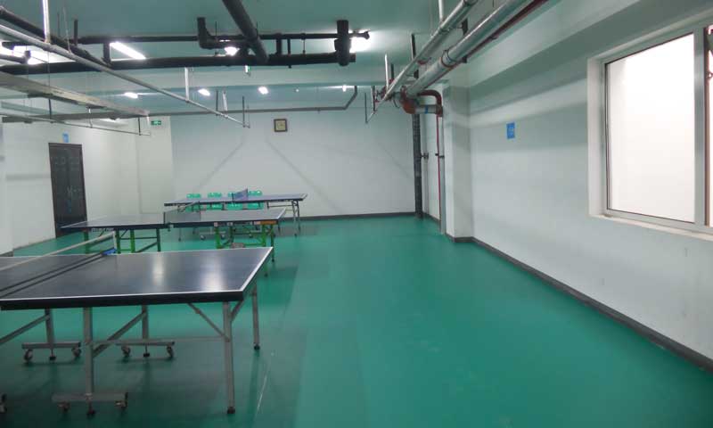 北京市豐臺(tái)區(qū)乒乓球地膠